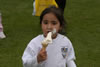 Vaisakhi mela 2008